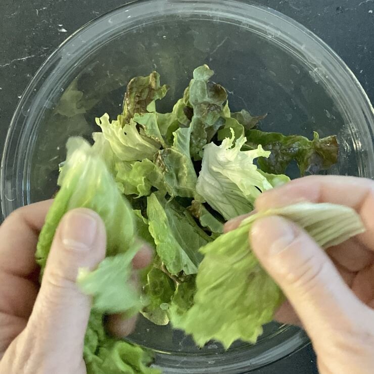 サニーレタスは食べやすい大きさにちぎります。