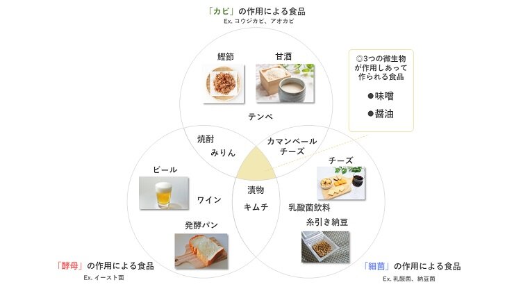 発酵食品